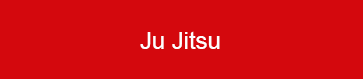 Jiu Jitsu