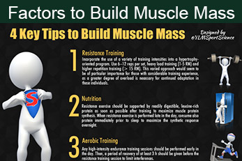 Factors to Build Muscle Mass