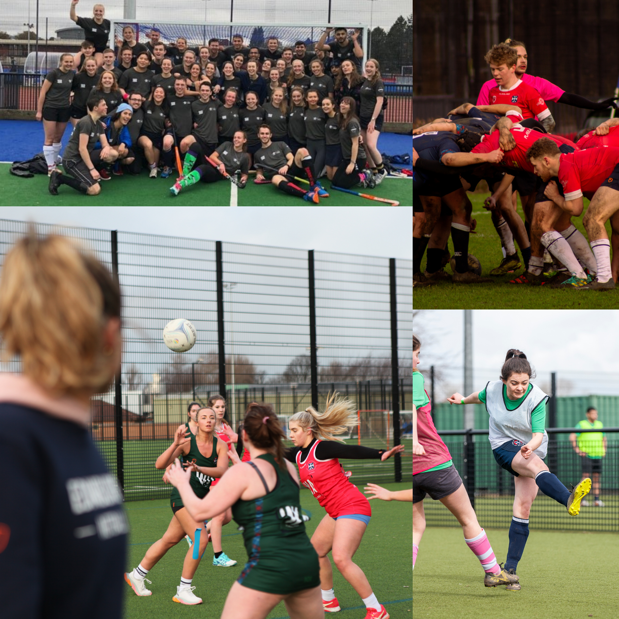 picture of people playing sport